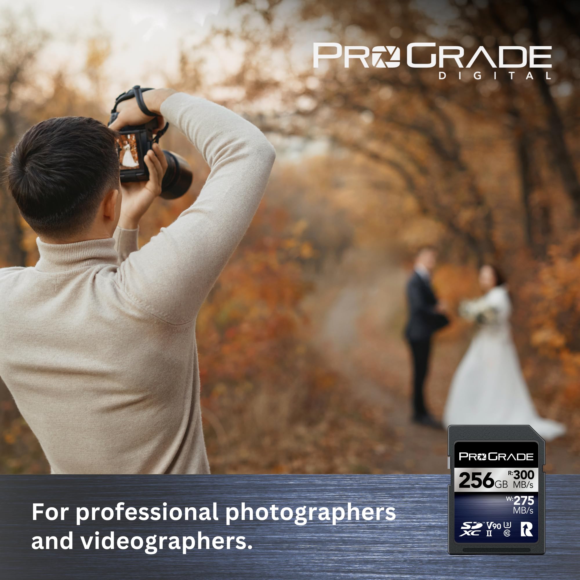 Carte Mémoire ProGrade Digital SDXC UHS-II V90 Iridium (256 Go)