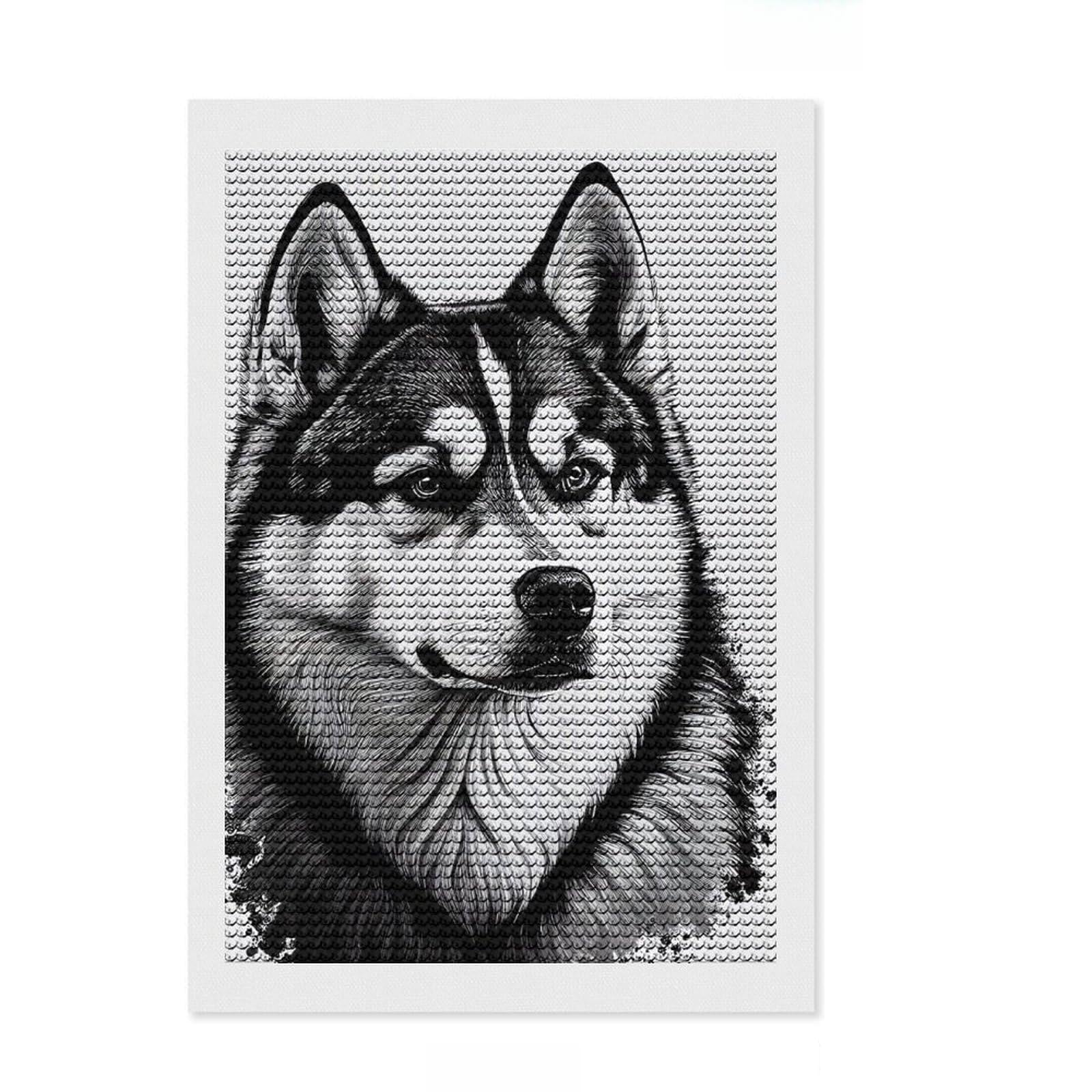 Junmoney Siberian Husky Drawing Dog Diamond Painting Set 8"x12", Decorate Your Room, Neat Printed Canvas, Easy Handmade Project, Farmhouse Decor
