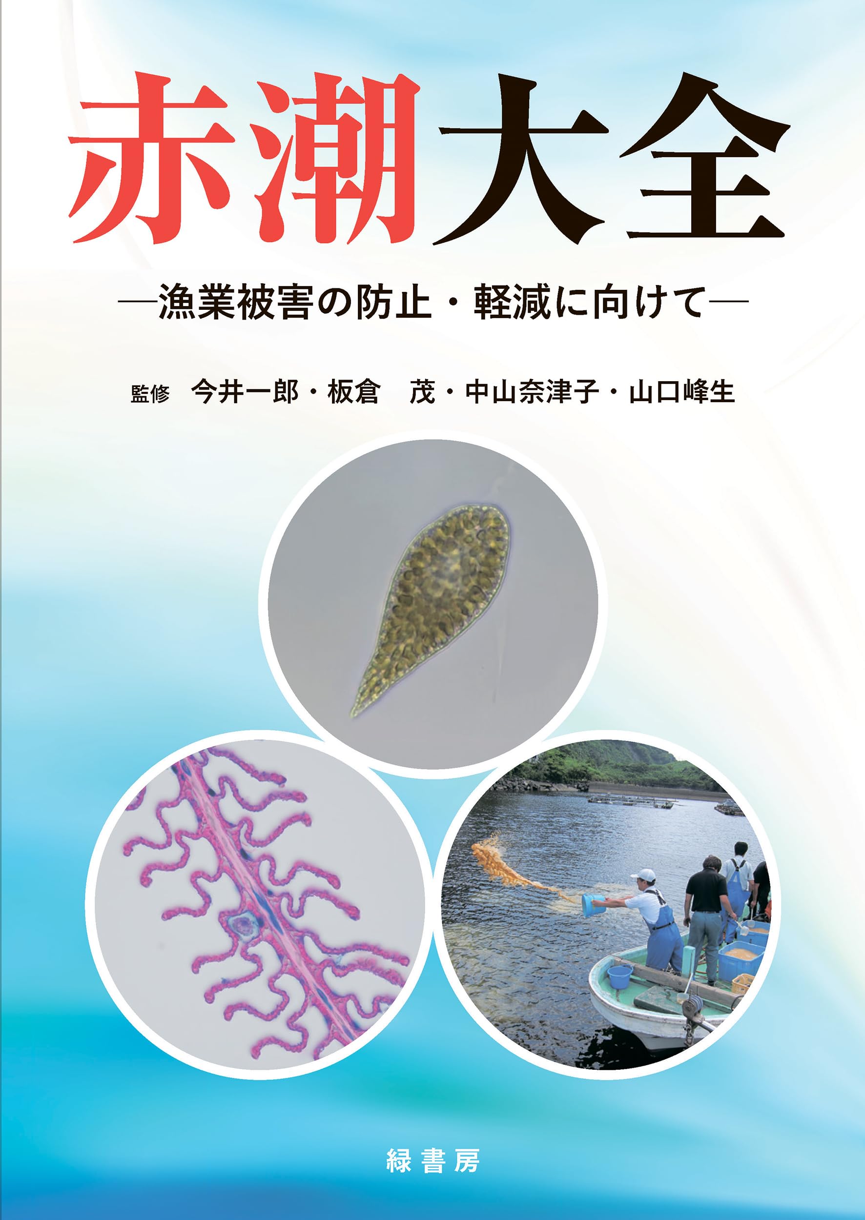 【中古】日本の赤潮生物?写真と解説 死の海の原因はこれだ！青潮や赤潮ができる原因と仕組みを解説 | TSURI