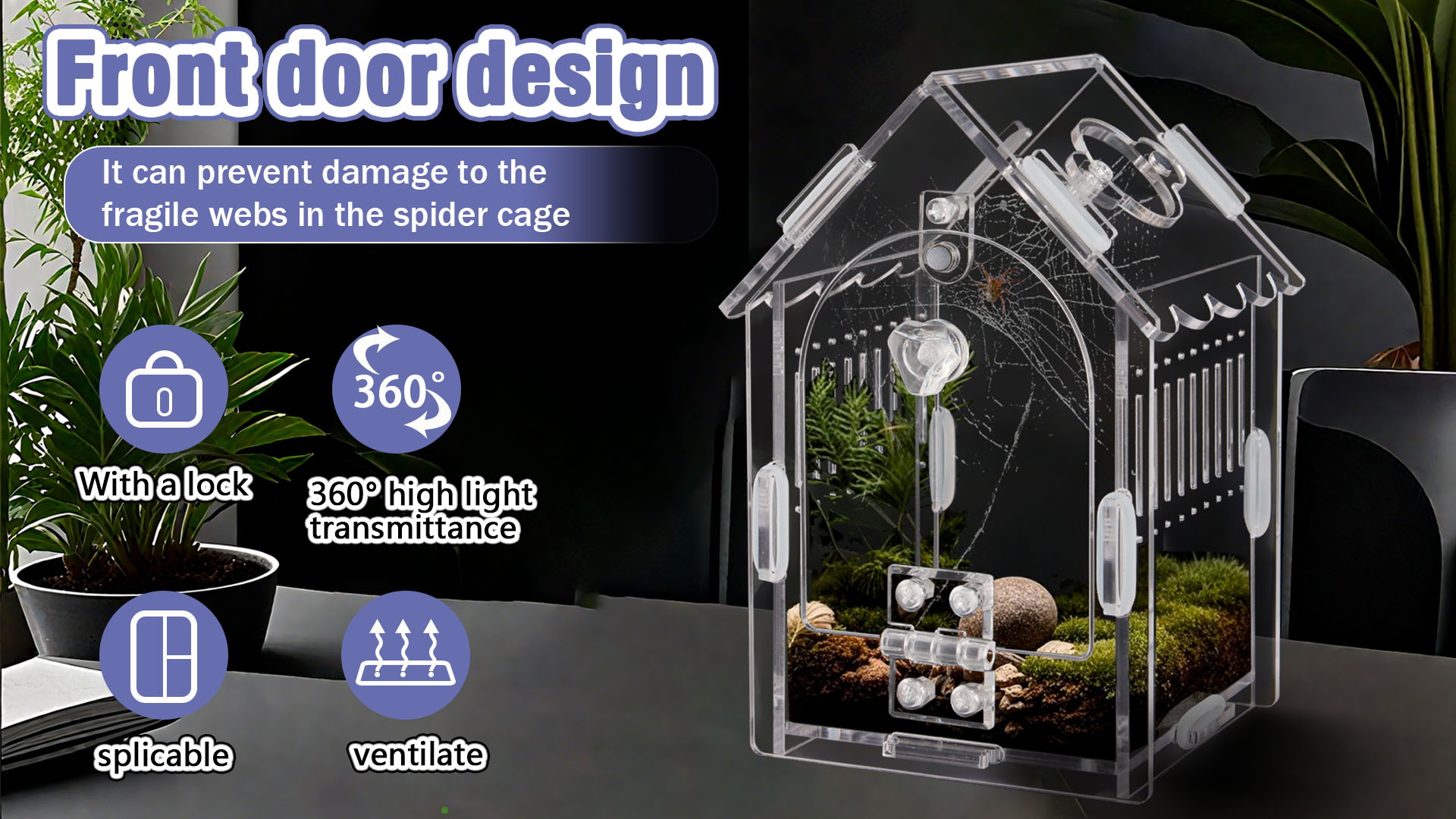 Amazon.com : LEIZHENZI Acrylic Jumping Spider Enclosure with