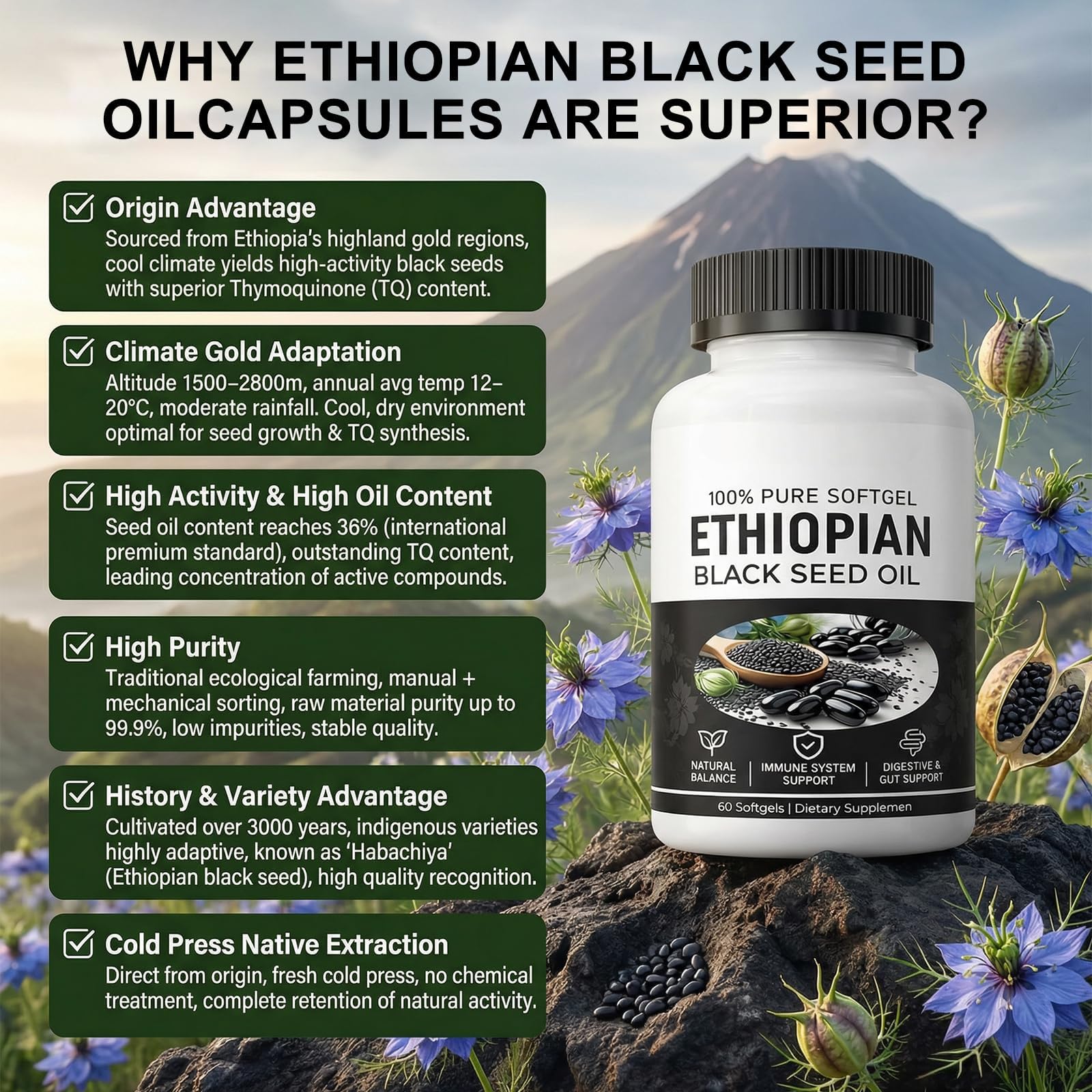 Ethiopian Black Seed Oil Capsules,Purely Nutrient Black Cumin Seed Oil from Nigella Sativa, Non-GMO Black Seed Oil Supplement Organic Cold Pressed, Easy-to-Swallow Softgels for Daily Wellness (1 Pack) — view 4