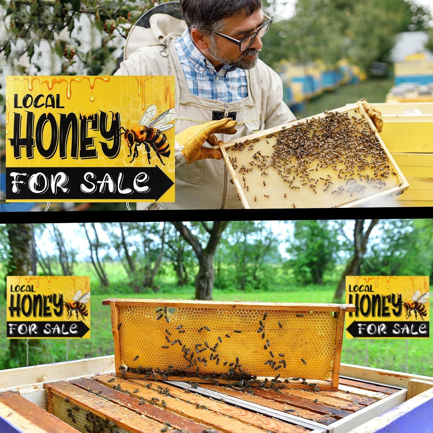 Glenmal 3 Pcs Local Honey for Sale Yard Signs 12x16 Inch Plastic image 5