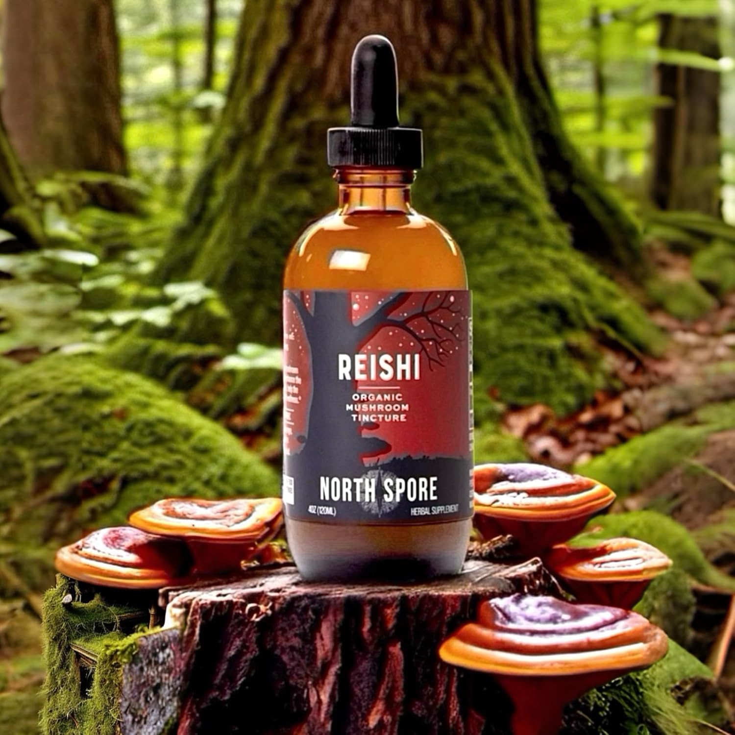 North Spore Organic Reishi Mushroom Tincture (2 oz) | 100% Fruiting Body Extracts | Immune Support, Brain Support | Certified Organic, Vegan, Non-GMO | Adaptogenic, Nootropic | Made in USA - Image 2