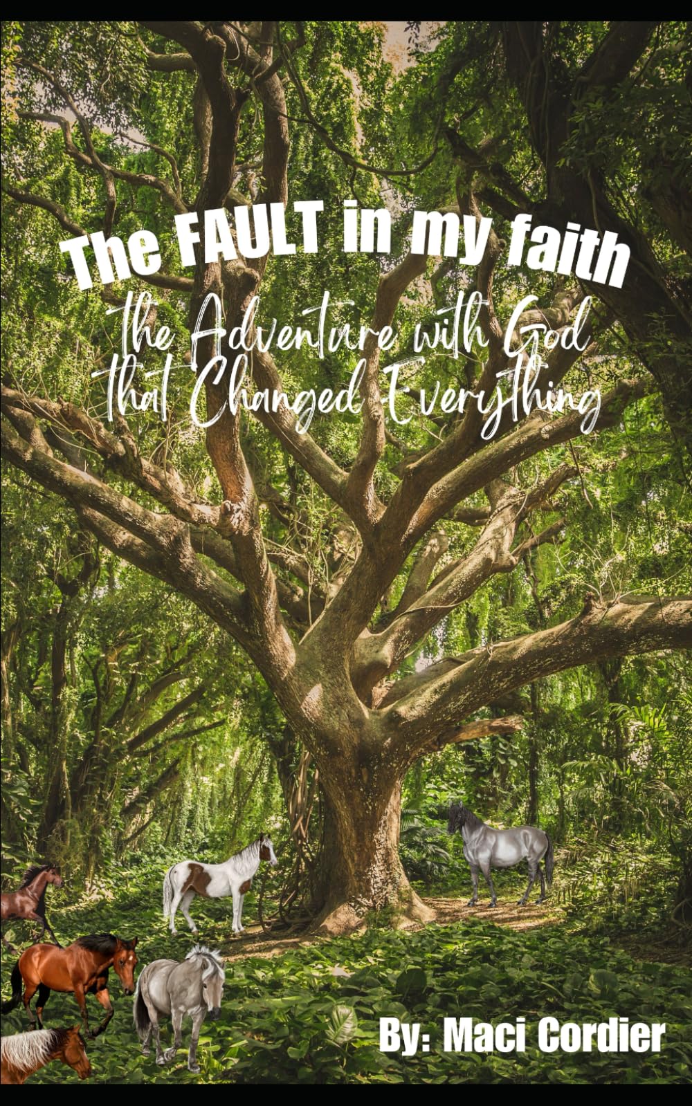 The Fault in My Faith: The Adventure with God that Changed Everything