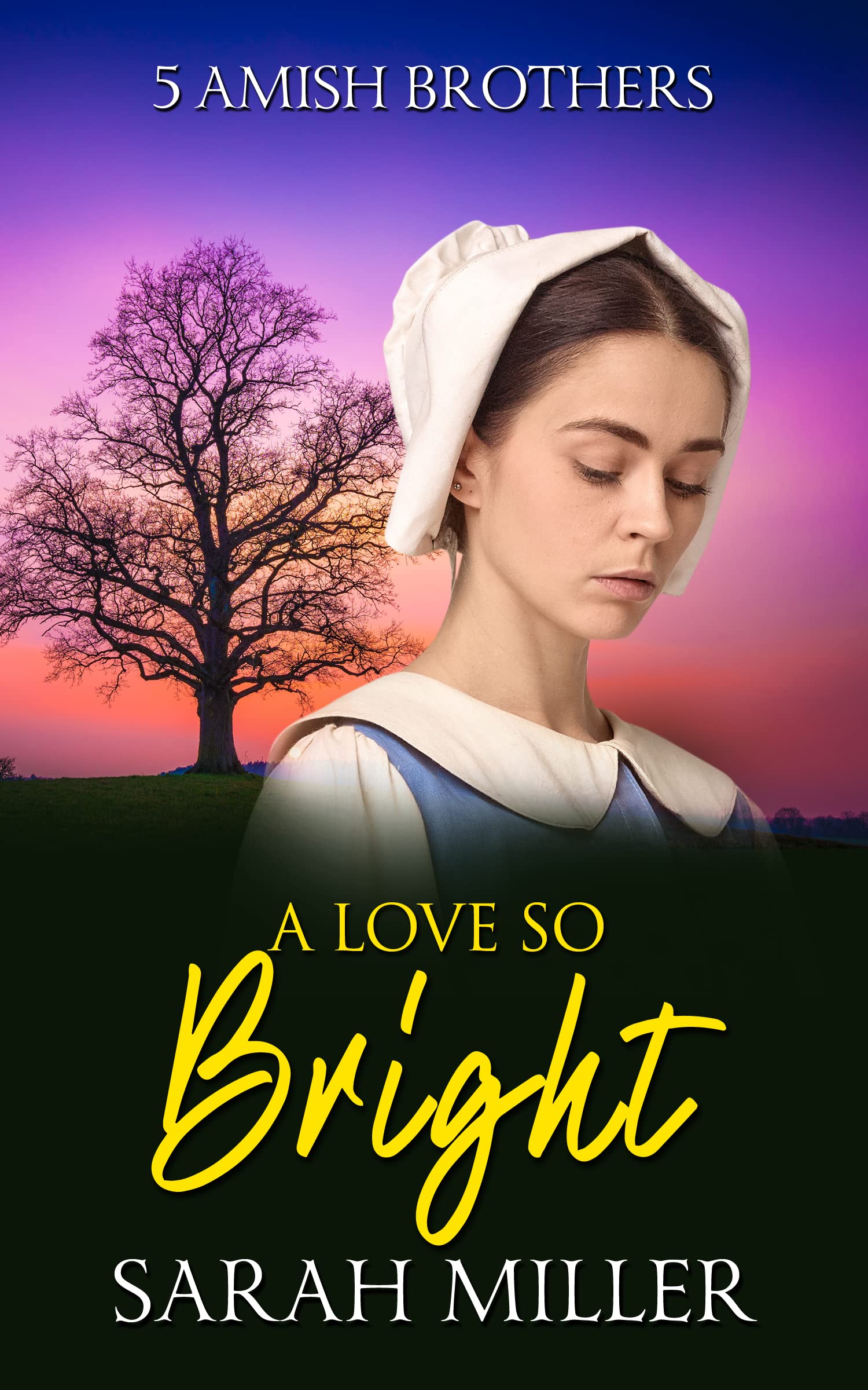 A Love so Bright (5 Amish Brothers Book 2)