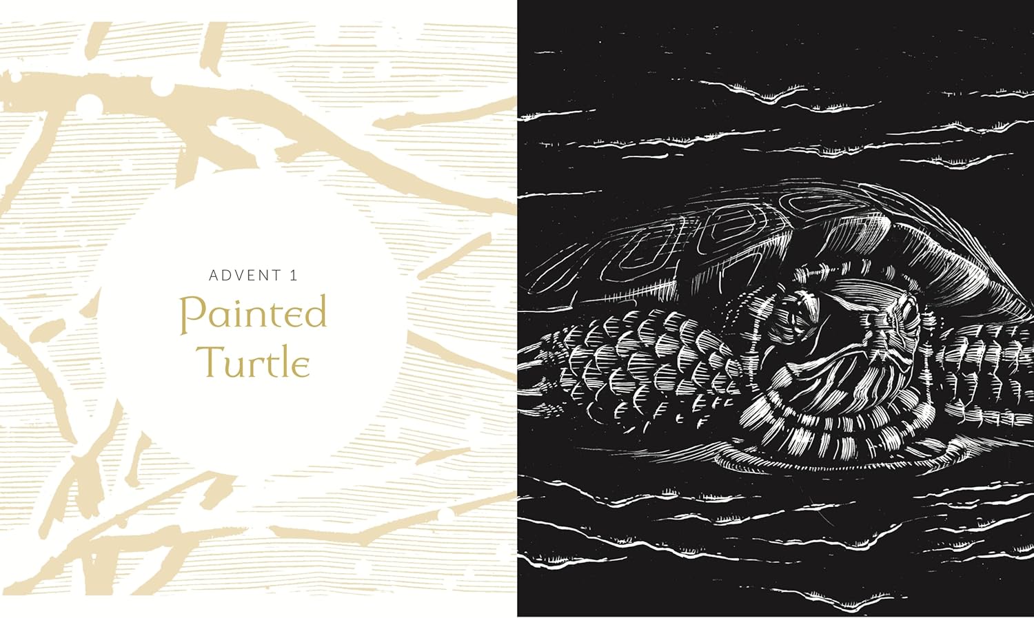 All Creation Waits ― Gift Edition: The Advent Mystery of New Beginnings (An illustrated Advent devotional with 25 woodcut animal portraits) - Image 3