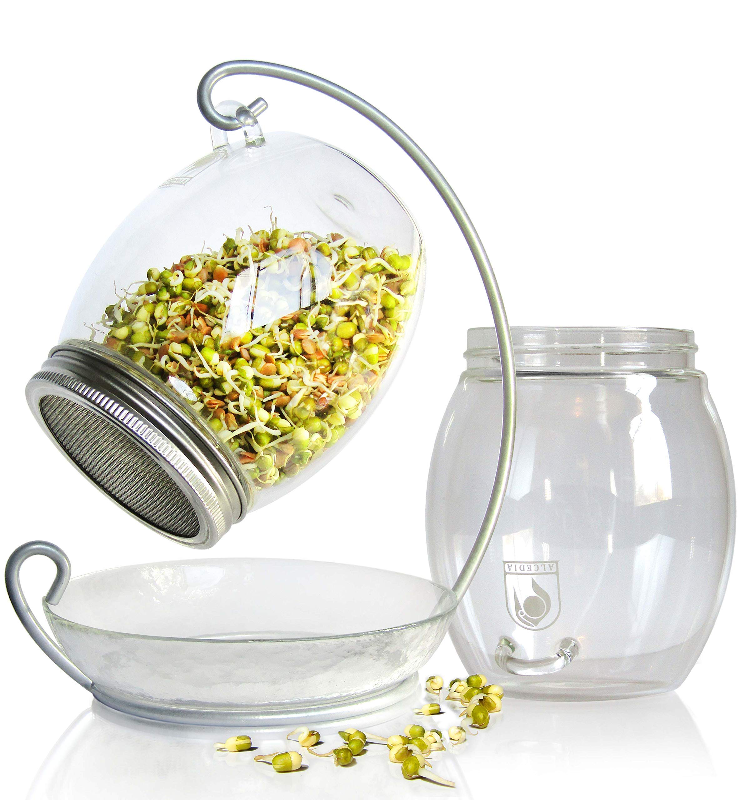 Buy Sprouting Jar Kit Unique 30 oz Wide Mouth Sprouting Jar, Stand