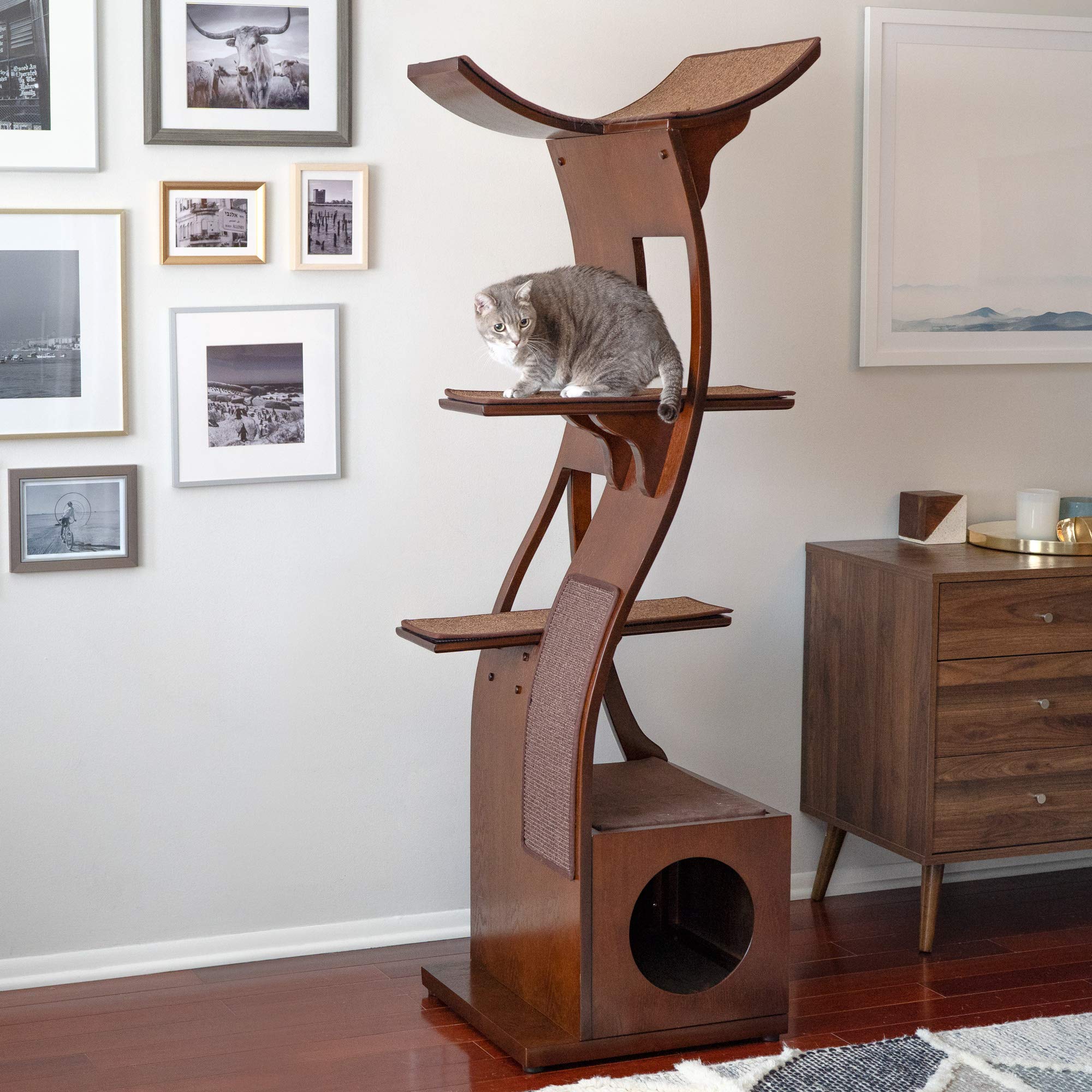 Buy THE REFINED FELINE 69 Inch Tall Mahogany Brown Lotus Cat Tower