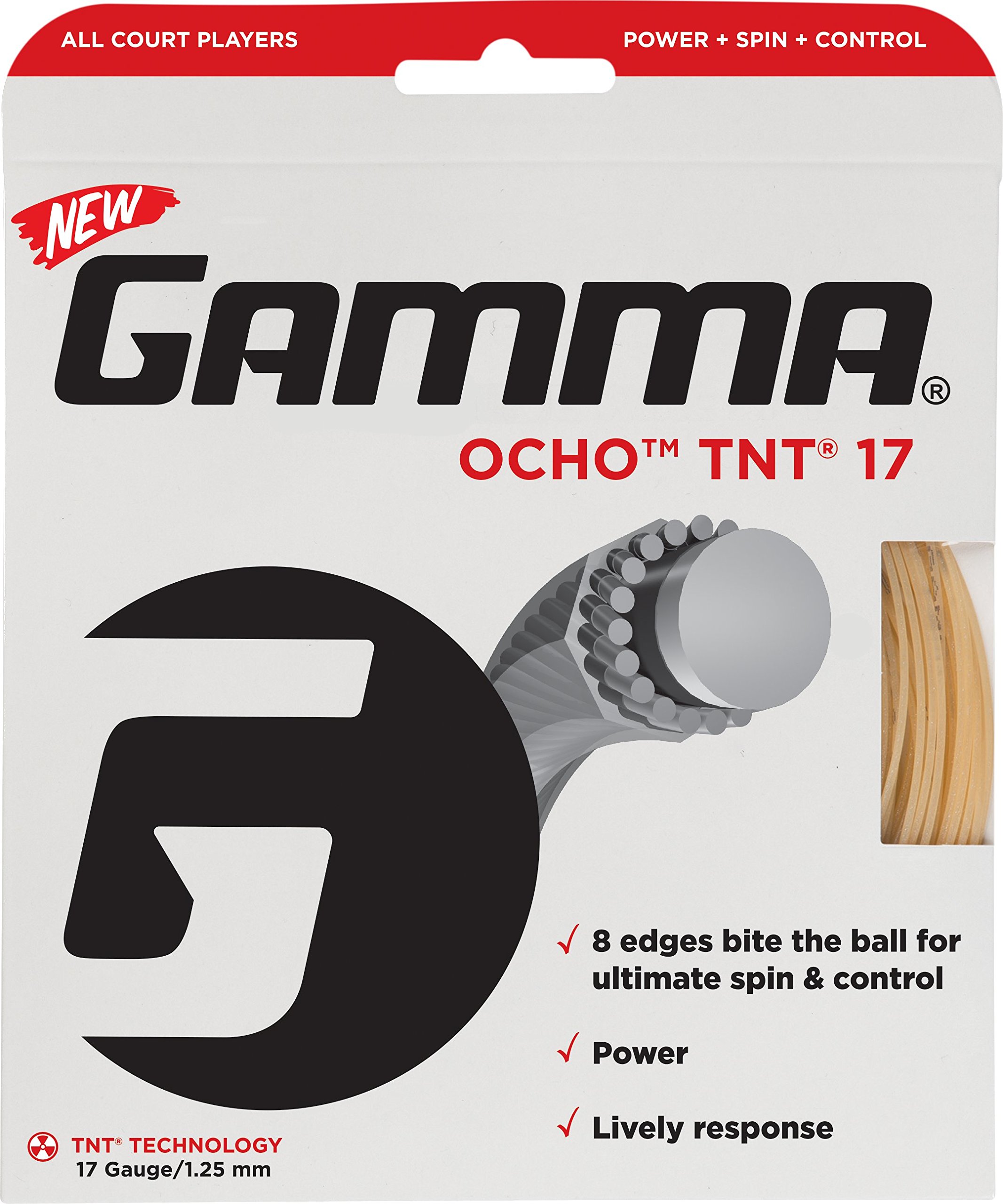GAMMAAMP OCHO