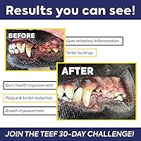 Vista 4 de TEEF FOR LIFE Protektin30 - Paquete de repuesto en polvo dental prebiótico para gatos, fórmula derivada de plantas, clínicamente probada que combate