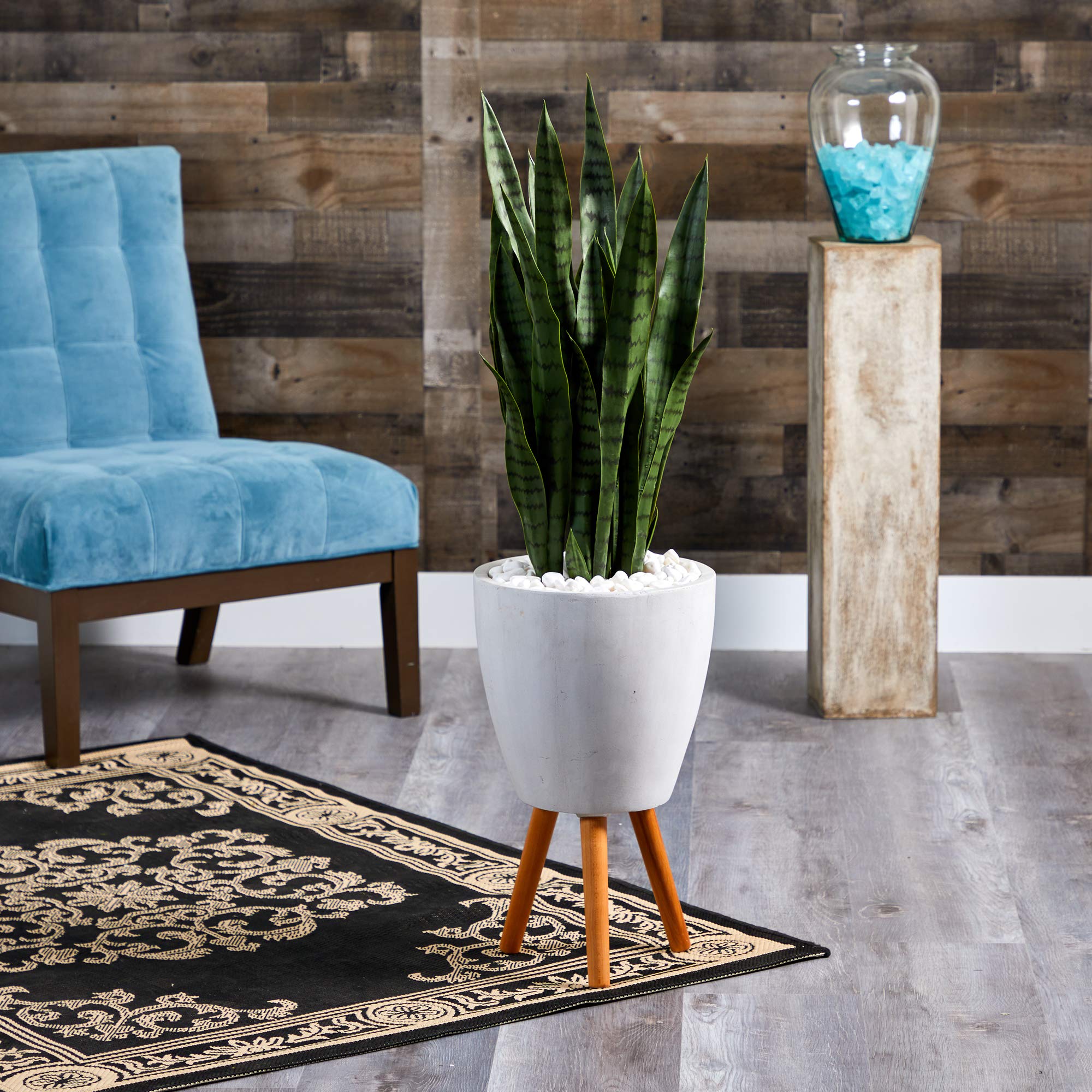 Amazon.com: Nearly Natural 4-ft Artificial Snake Plant for Indoor Home  Decor, White Decorative Planter with Stand, Mid Century Modern Design  Sansevieria, 48-in Faux Snake Plant for Living Room, Bedroom, Office : Home