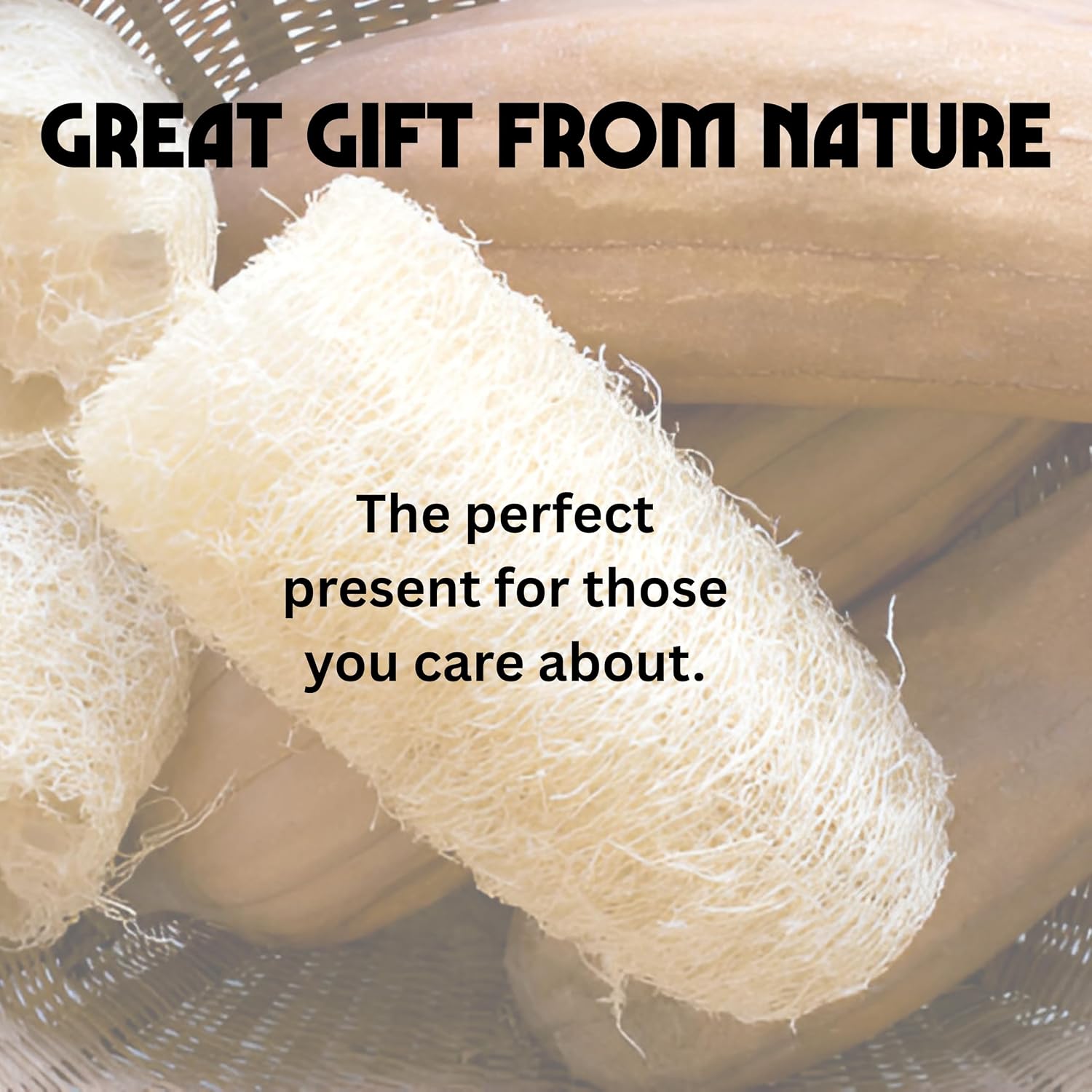 Birdee 100% Plant-Based Loofah Body Wash Sponge - Natural Luffa for Exfoliating and Radiant Skin, Hand-crafted in Vietnam, Pack of 4