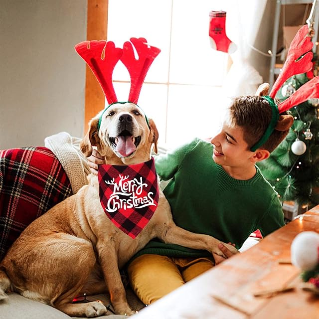 Foto 6 de 7 de STMK Paquete de 2 pañuelos navideños a cuadros para perros
