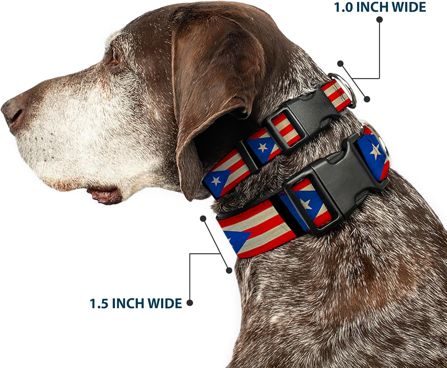 Buckle-Down 13-18" Puerto Rico Flag Weathered Plastic Clip Collar, Wide Small