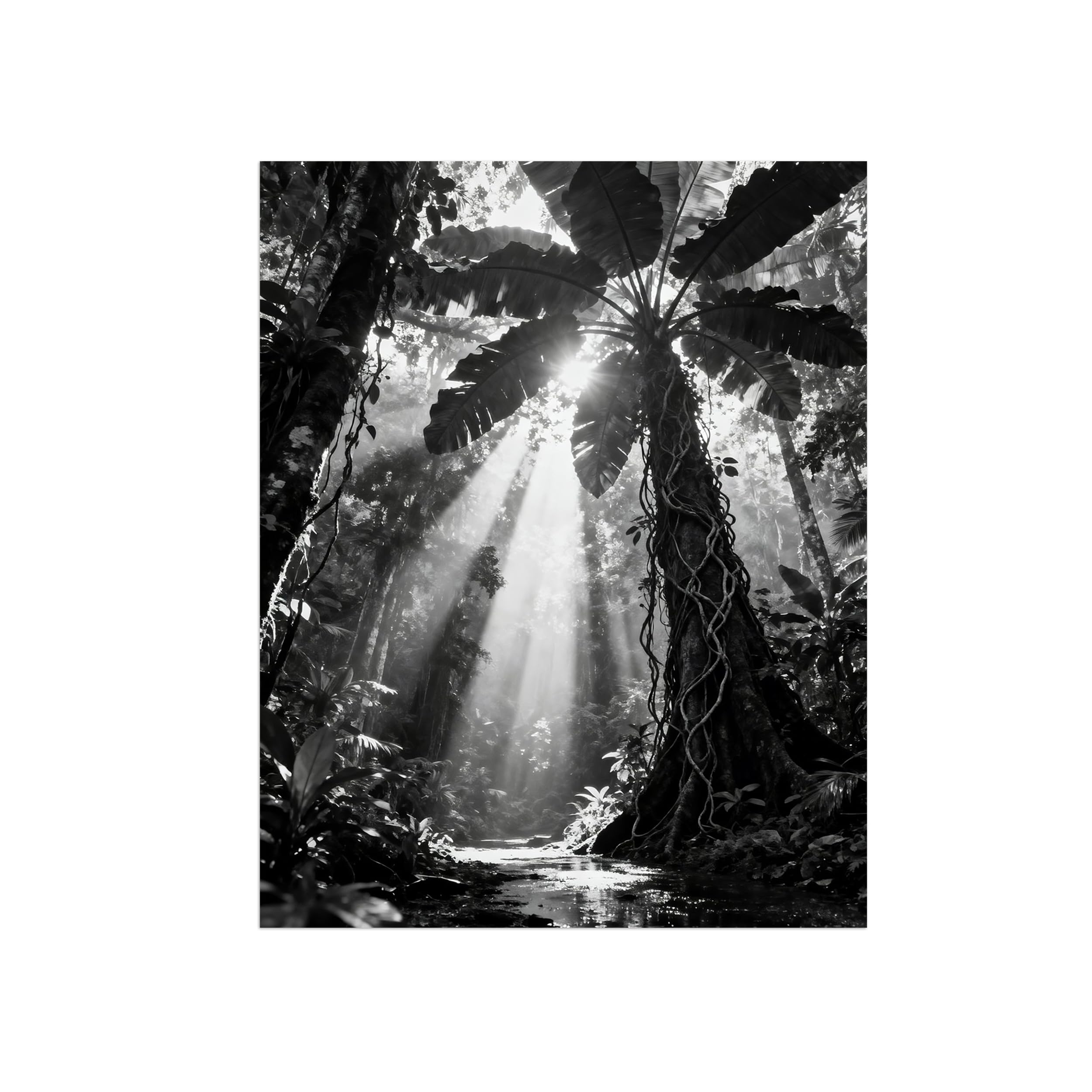 Black White Landscape Wall Art. Tree Sunshine 4. Picture 70x90cm Framed