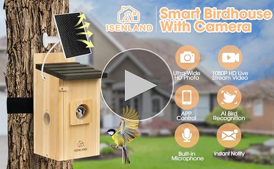 Amazon.com: Smart Bird House with AI Identify Camera, 1080P