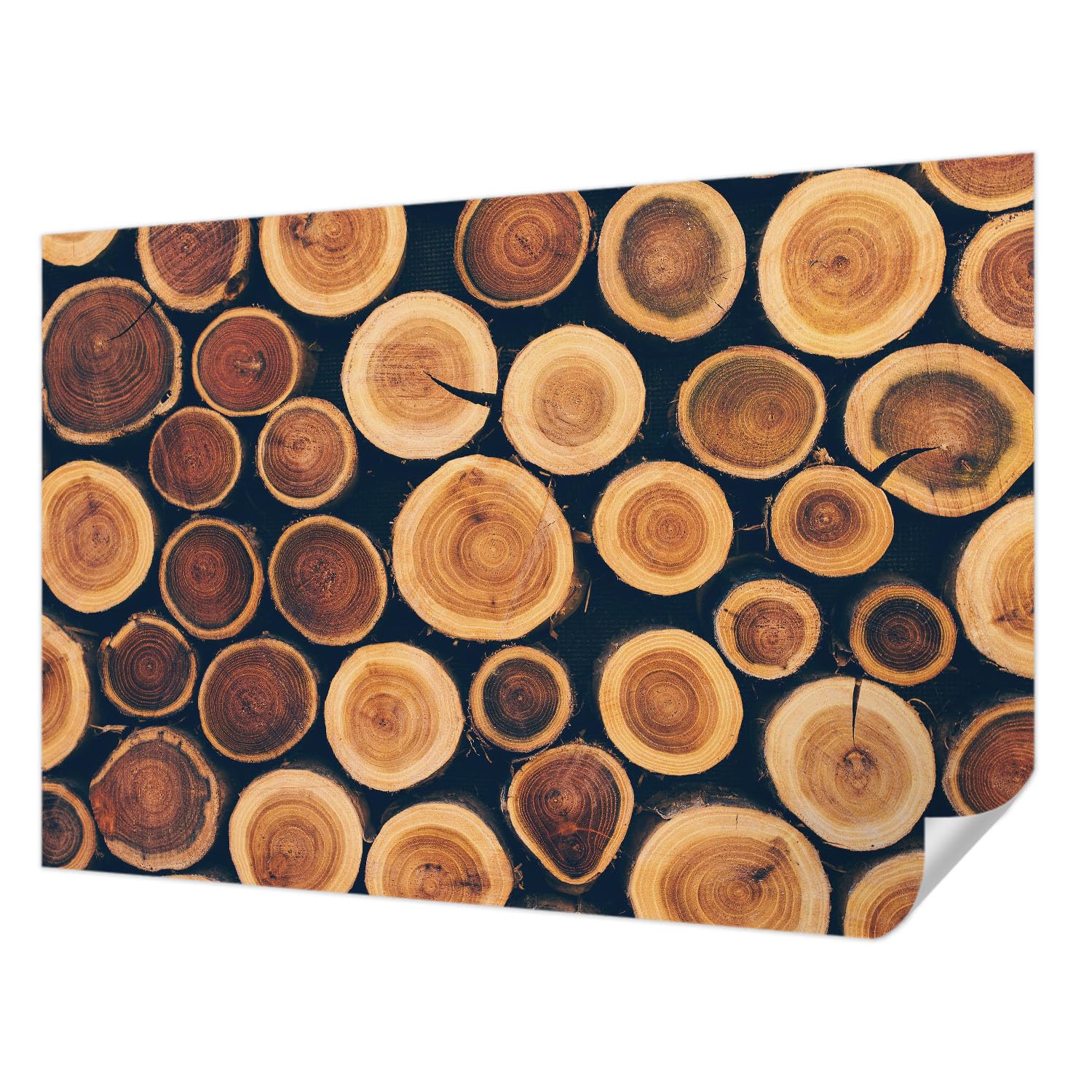 Décoration murale haut de gamme cercles en bois adhésif 152x104