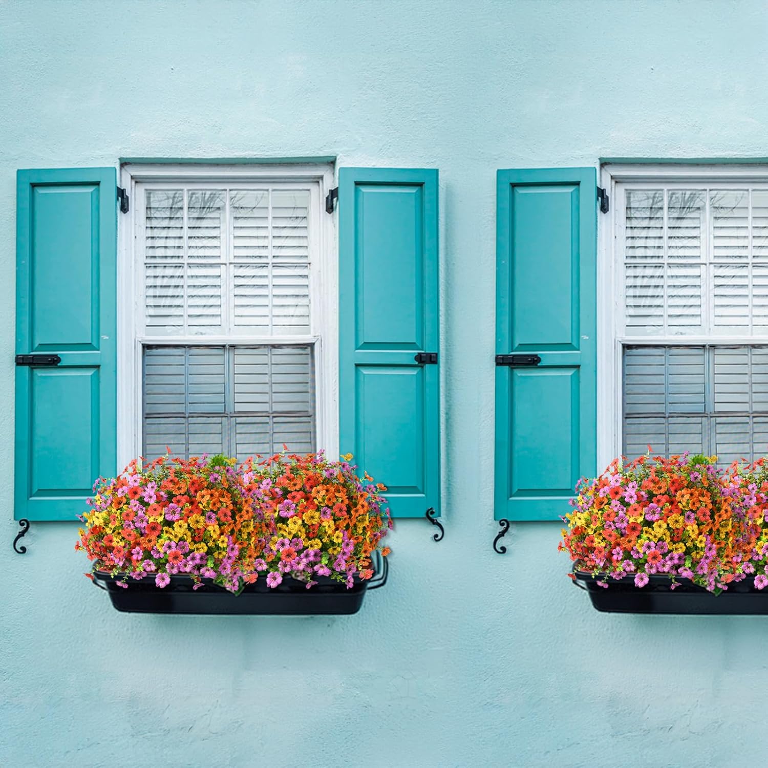 Best 5 Flowers for Outdoor Indoor Garden Home Decoration 13 Flowers for Outdoor Indoor Garden Home Decoration