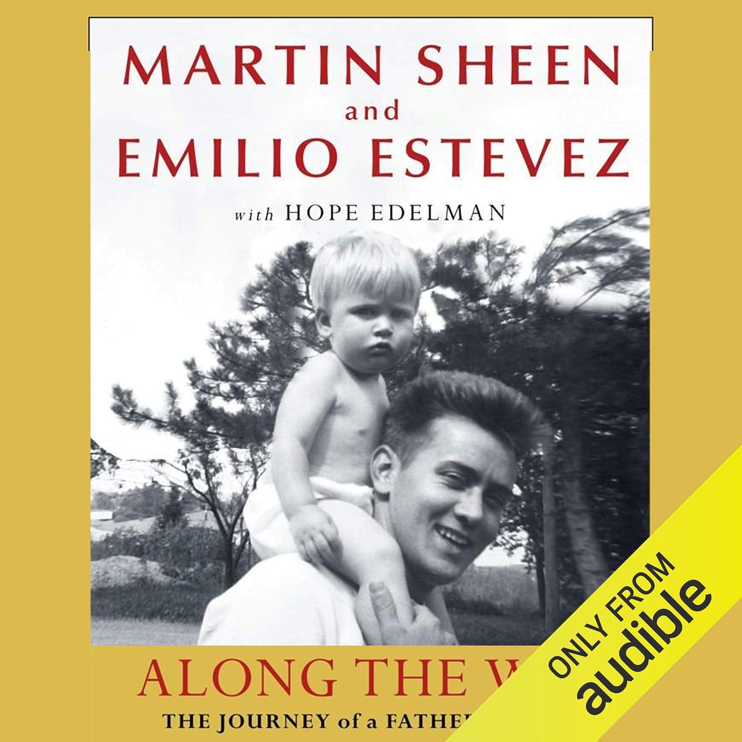 Along the Way: The Journey of a Father and Son