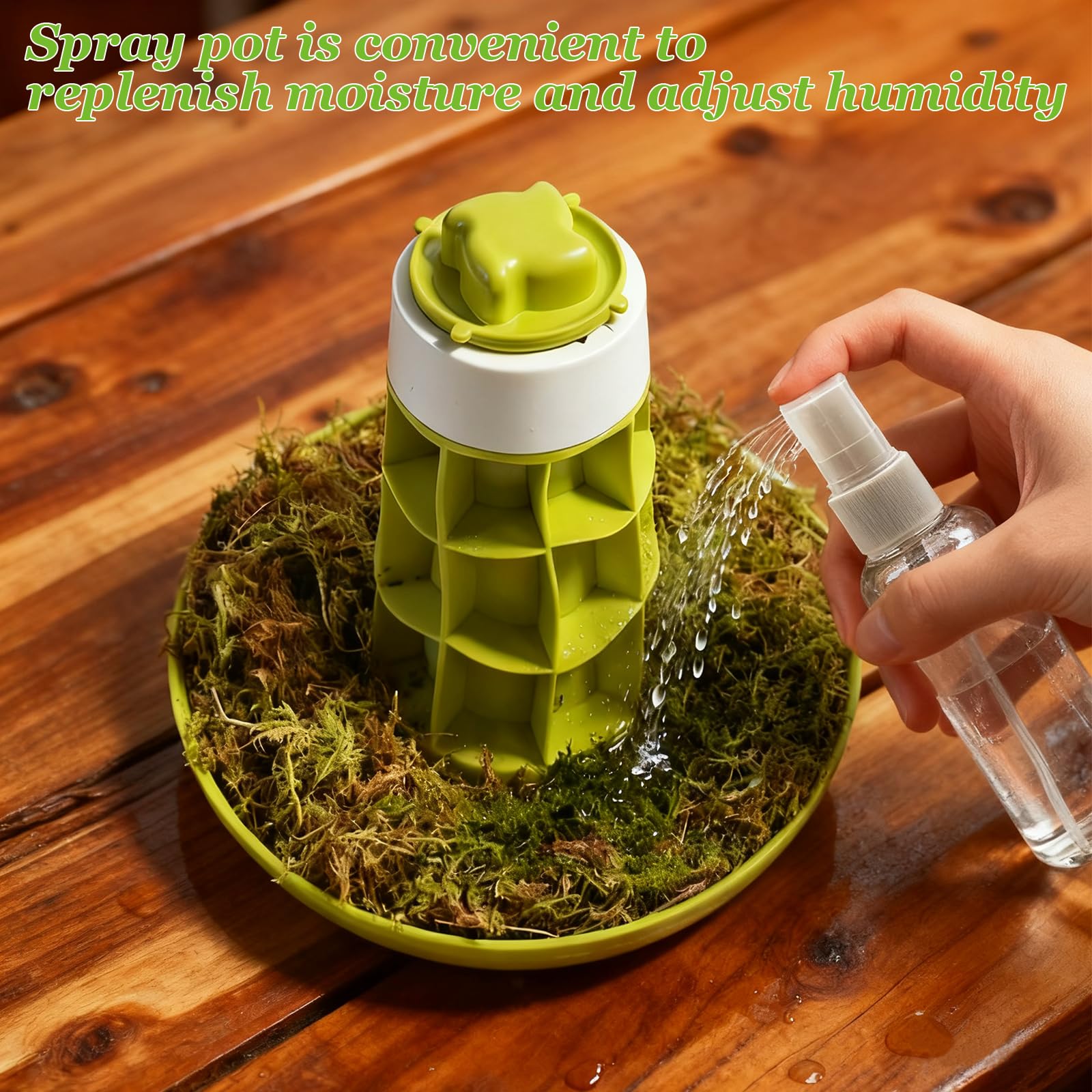 Kit de terrarium pour escargots - Enclos d'insectes - Terrarium d'observation - Récipient d'observation des mantes priantes - Boîte d'élevage - Kit de démarrage pour coccinelles, araignées, petits