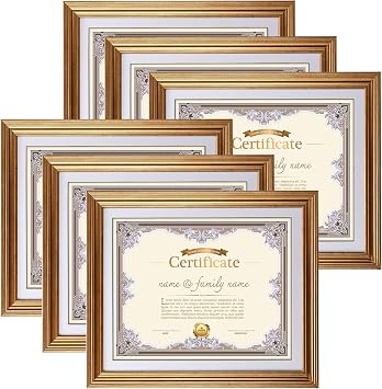 MEBRUDY 8.5 x 11 Picture Frames with Mat, Gold 8.5x11 Document Certificate Diploma Award Photo Frame Set for Wall or Tabletop Display, 6 Pack
