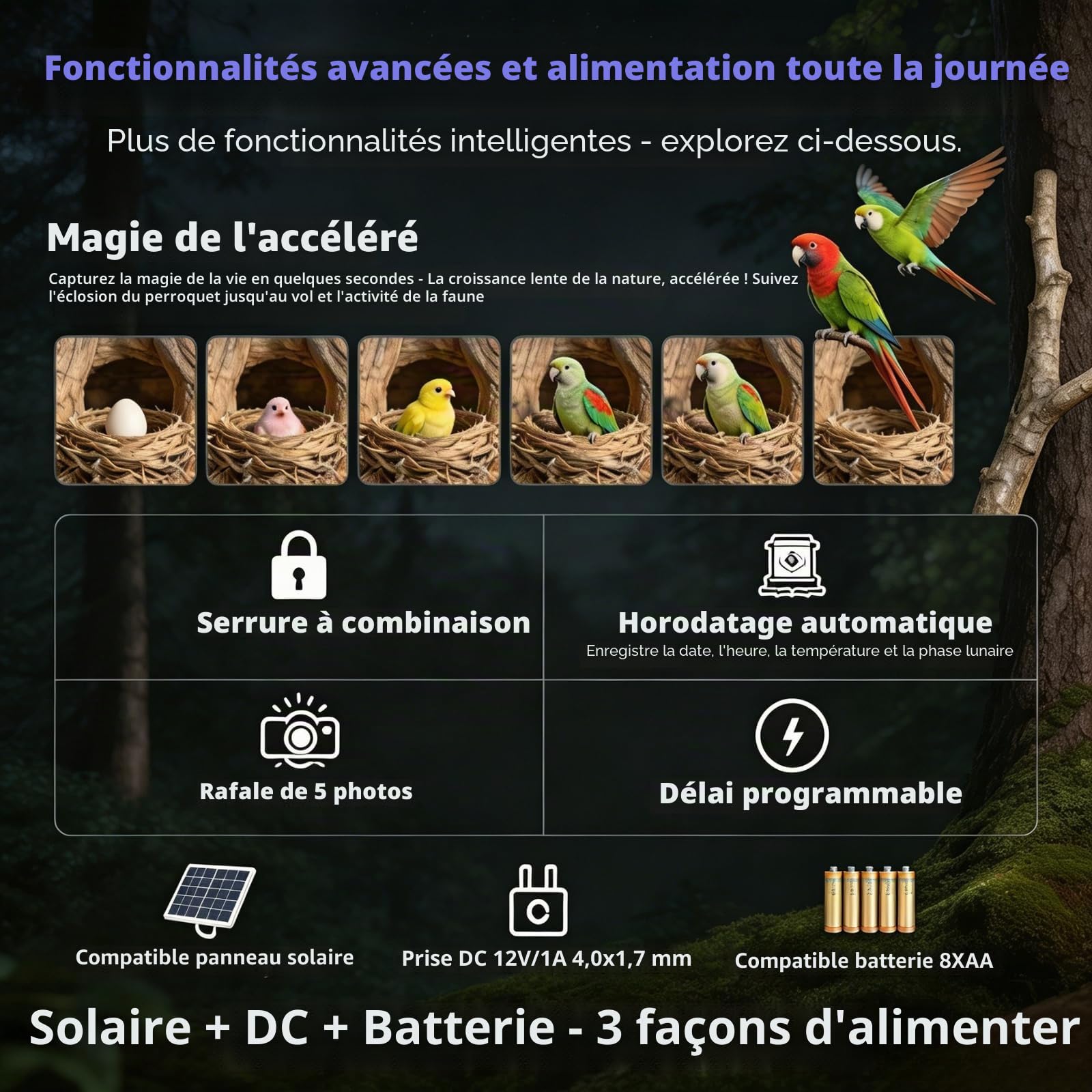 BLAZEVIDEO WiFi Caméra de Chasse 64MP 1296P Bluetooth Camera de Surveillance IP66 Étanche avec Vision Nocturne Infrarouge, Détecteur de Mouvement, Grand Angle 120° et Contrôle APP, pour l'extérieur