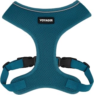 Best Pet Supplies Voyager Aerolite Over the Head Dog Harness, No Pull Breathable Air Mesh Vest, Quick Dry with Reflective Stitching, Adjustable Escape Resistant Harness - Turquoise, Small