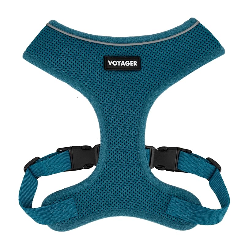 Peitoral vest para cães Voyager Aerolite Best Pet Supplies com malha respirável e ajuste Turquoise, tamanho M