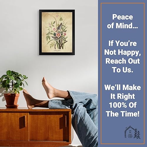 Vista 38 de Towee Bunting by James Audubon - Marco biselado negro de 12 x 16 pulgadas, decoración artística enmarcada para pared, reproducción de pinturas