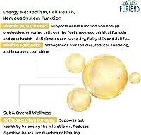 Vista 6 de Colágeno líquido orgánico prémium 5X para perros y gatos Sin pollo Péptidos de colágeno tipos I, II, III, V y X, MSM y biotina