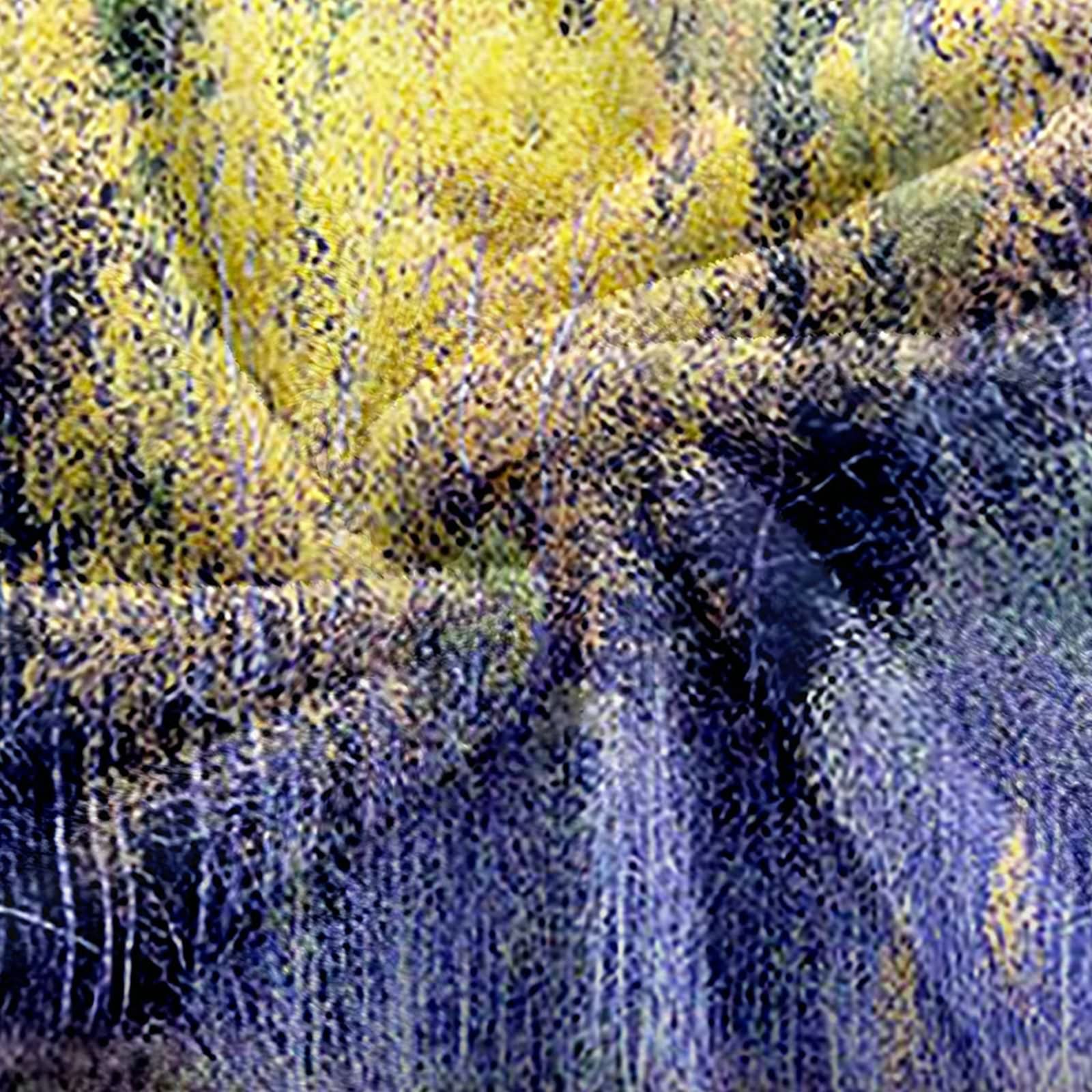 Aeici Koc polarowy, koc dziecięcy z nadrukiem 160 x 200 cm drzewa jezioro koc na sofę zimowy prezent dla dorosłych i dzieci