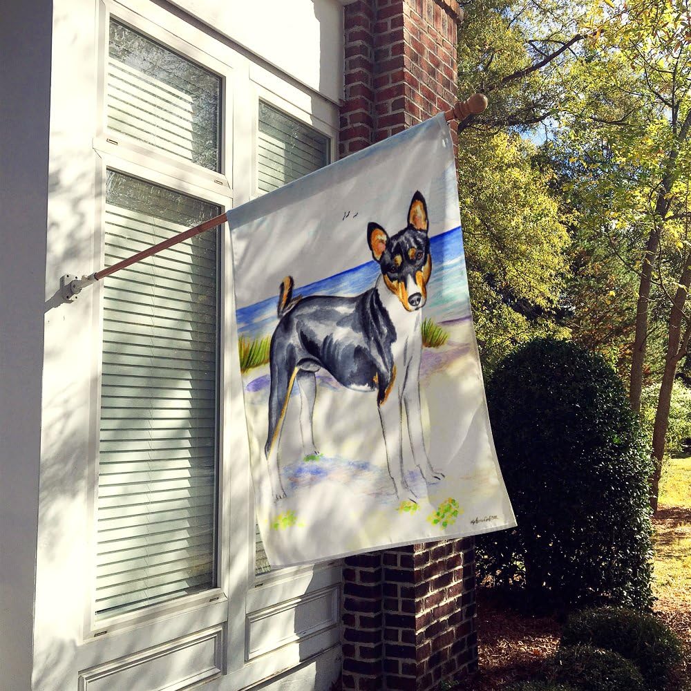 Caroline's Treasures 7109CHF Basenji House Flag Large Porch Sleeve Pole Decorative Outside Yard Banner Artwork Wall Hanging, Polyester, House Size, Multicolor