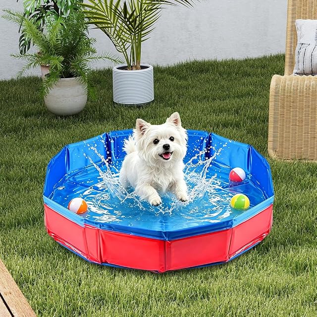 Foto 3 de 7 de yotutun Piscina Plegable para Perros