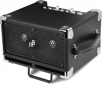Phil Jones BG-120 Bass Cub Pro Combo Bass Guitar Amplifier