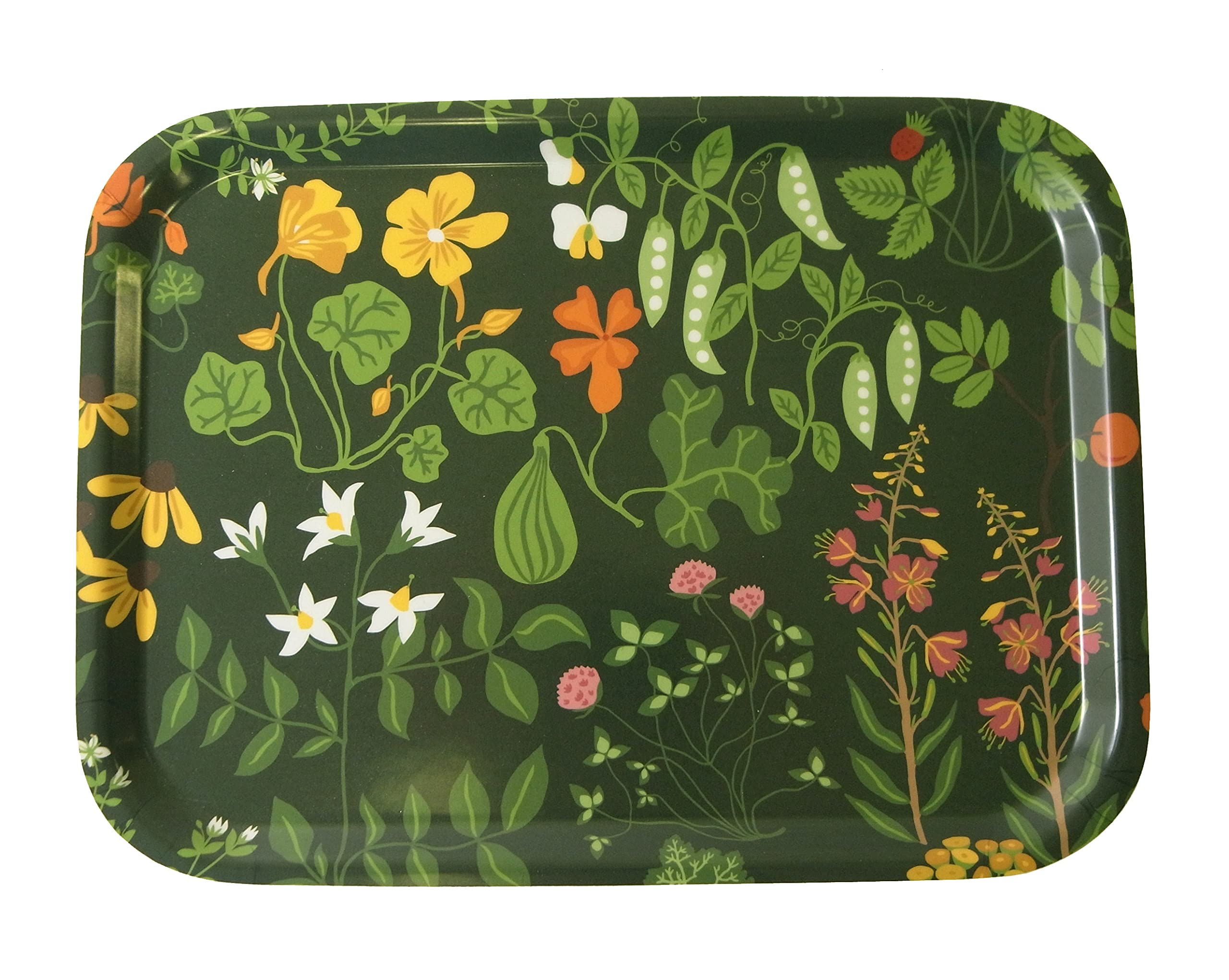 オーク材 丸盆 サークルトレー ポーランド製 クリッパン購入 オーク材 丸盆 サークルトレー ポーランド製 クリッパン購入