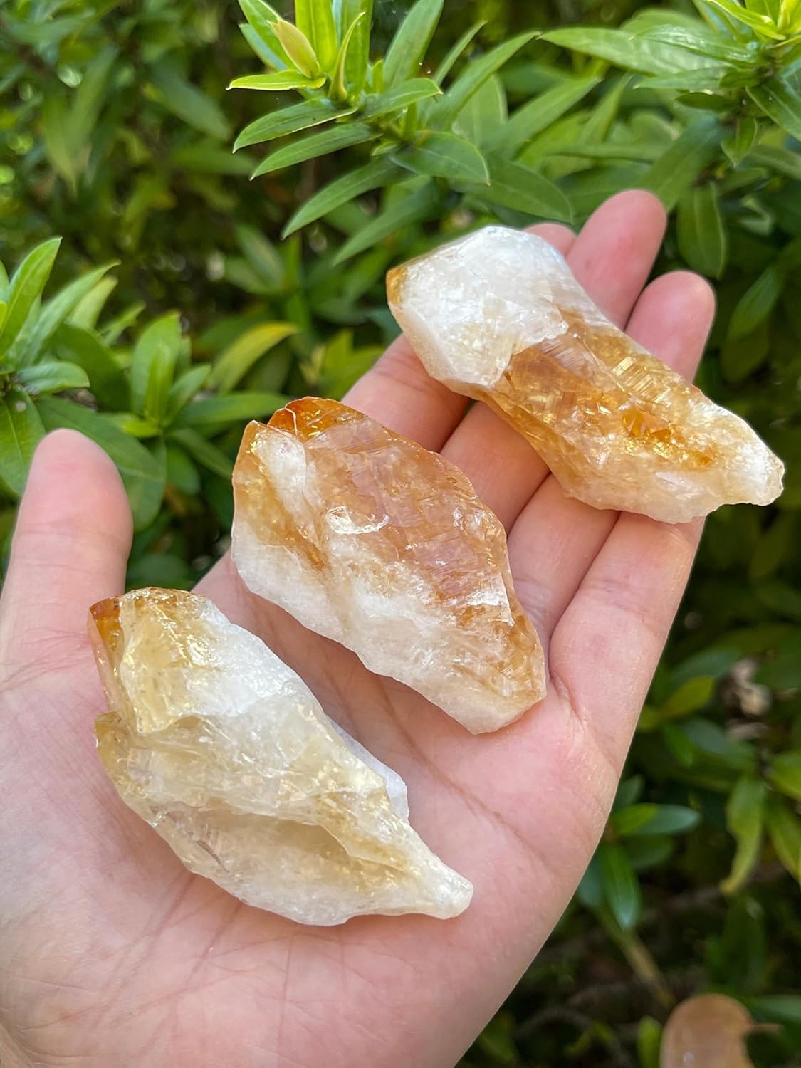 Gemma Di Quarzo Citrino - 3.70 Carati - Quadrato 1x1 - Gemme Quarzo - Foto 5