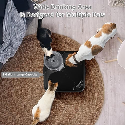 Miniatura 6 de Fuente de agua para perros grandes fuente de agua para mascotas extra grande de 18 galones dispensador automático silencioso para perros para