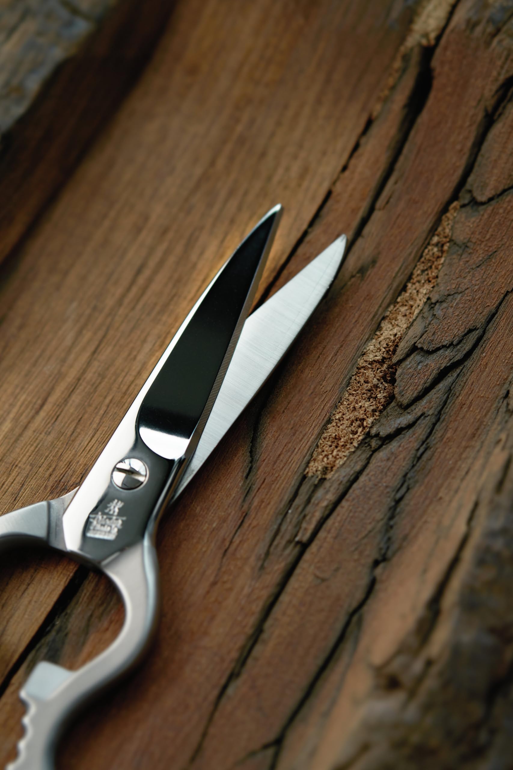 ZWILLING Vielzweckschere, 20 cm, Für Rechts- und Linkshänder, Rostfreier Edelstahl, Made in Germany, Silber