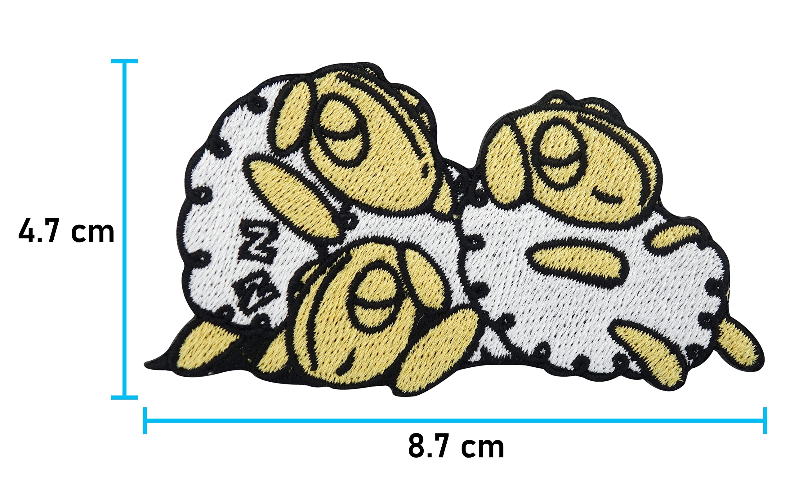 View 5