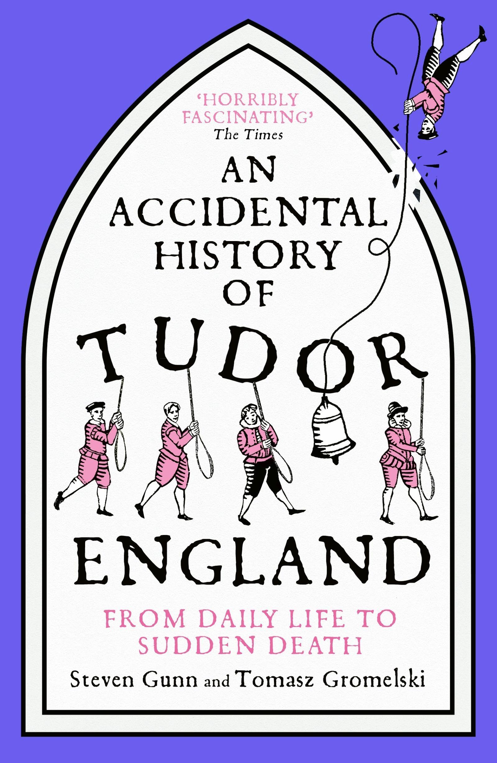 An Accidental History of Tudor England by Steven Gunn Paperback