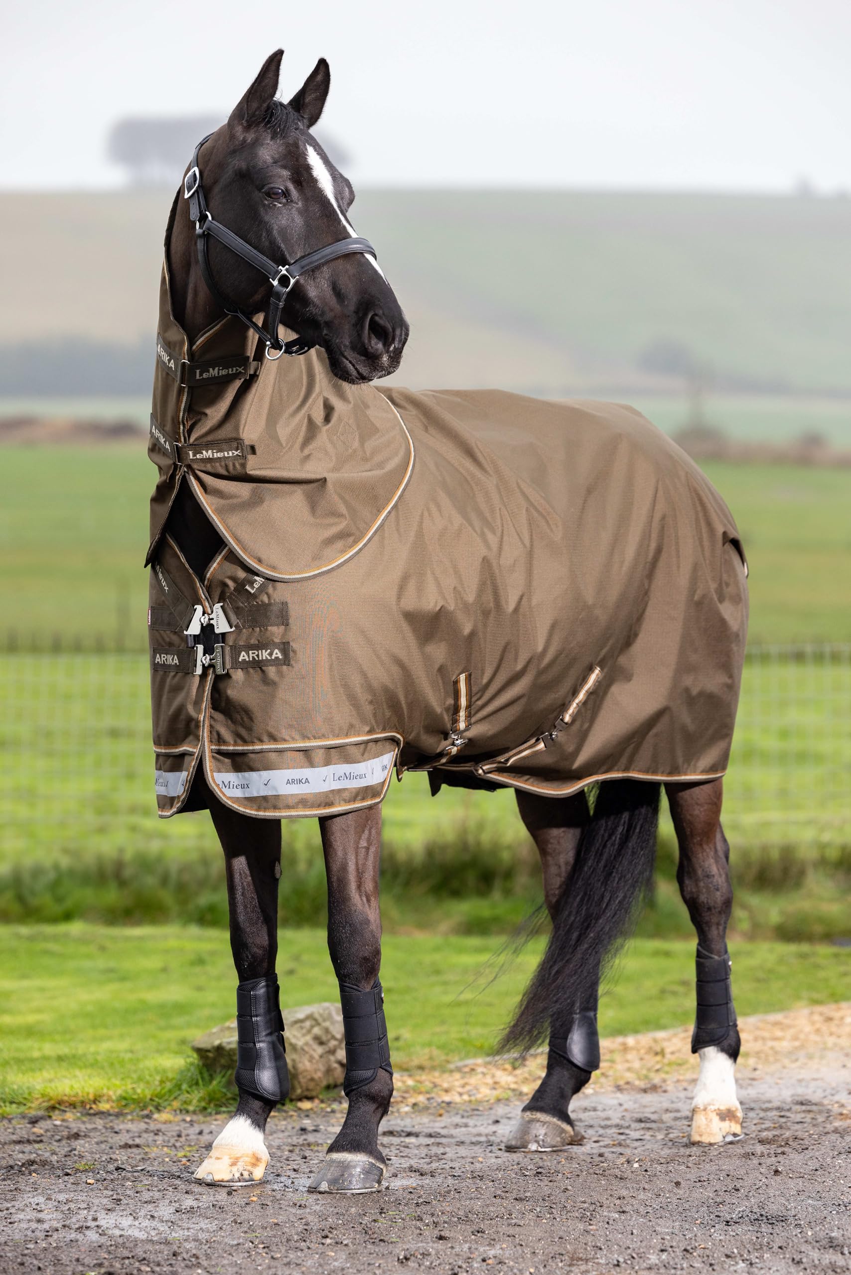 LeMieux Arika Ripstop 200g Turnout Rug - 600 Denier - Detachable Neck - Alpine - 6ft3