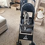 Review Image by Tammy Dally Tammy Dally