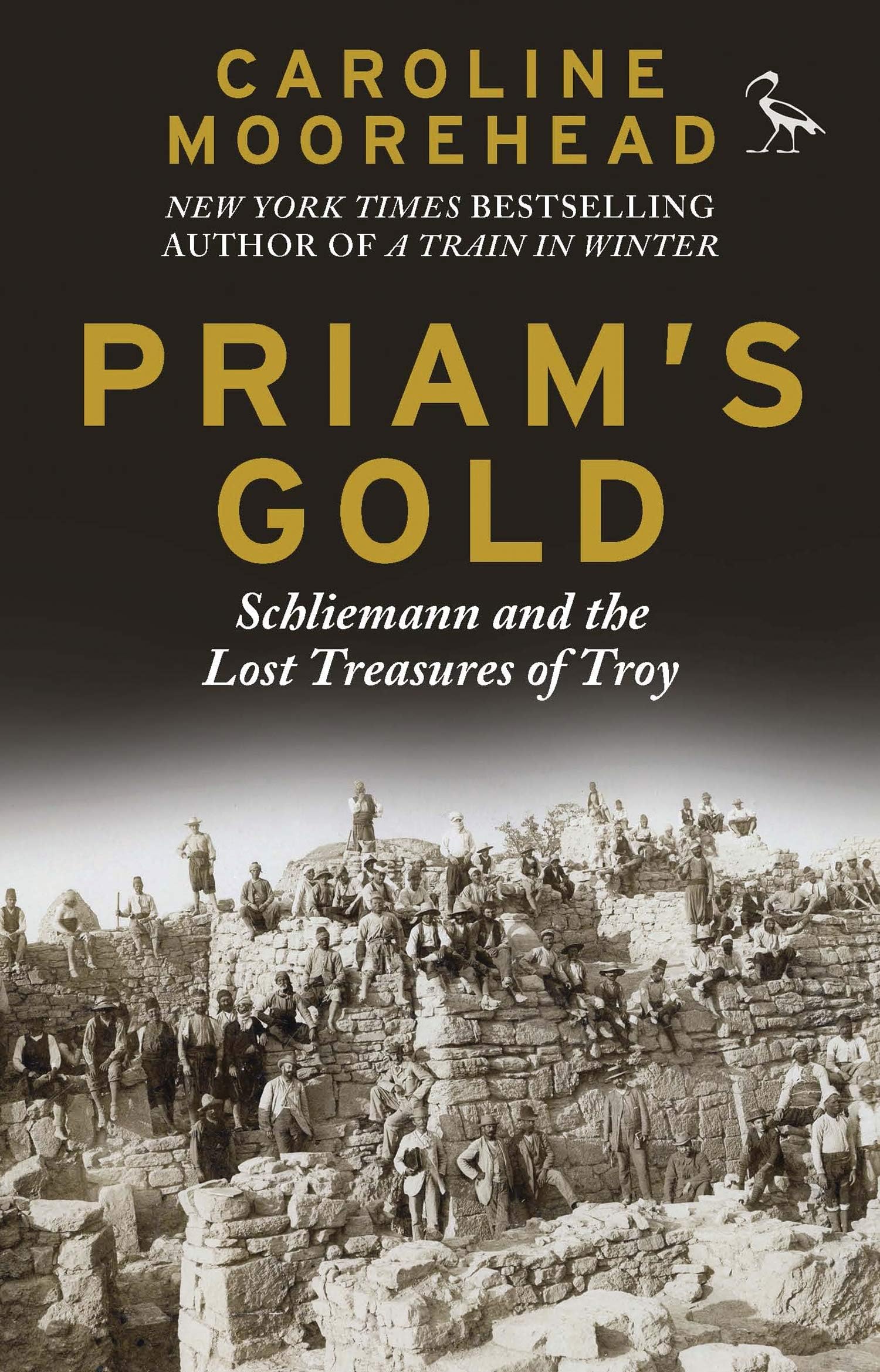 Priam's Gold: Schliemann and the Lost Treasures of Troy Paperback – 24 Feb. 2016