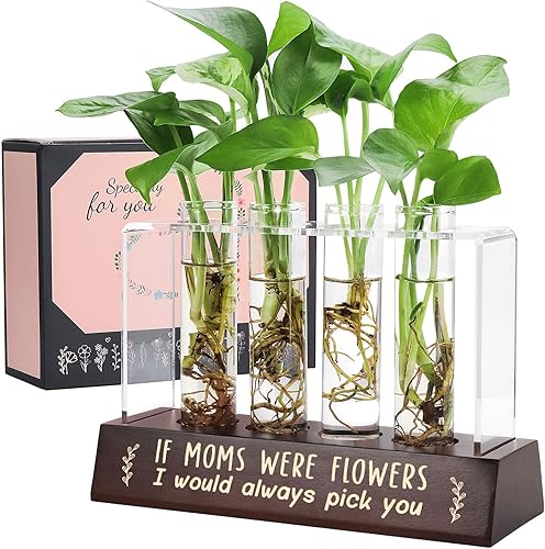 Regalos para mamá de hija hijo, terrarios de maceta, agradecimiento, regalos de agradecimiento para madre, los mejores regalos para cumpleaños,