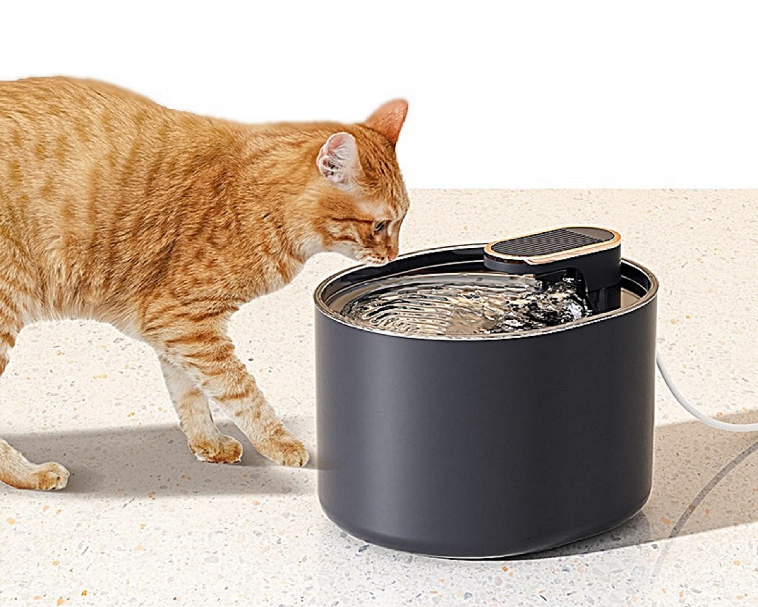 Dogbed4less Pet Water Fountain with Automatic Three-Layer Circulation Filtration Purification Water Dispenser and Smart Quiet Pump for Cats, Dogs, Multiple Pets - Large 101oz/3L