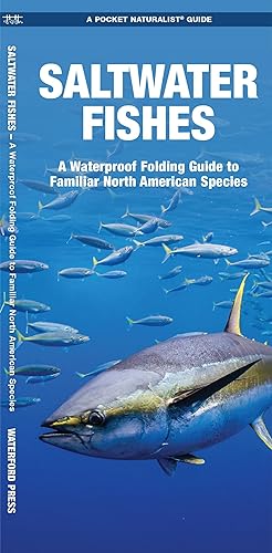 Saltwater Fishes: A Folding Guide to Familiar North American Species (Pocket Naturalist Guides)