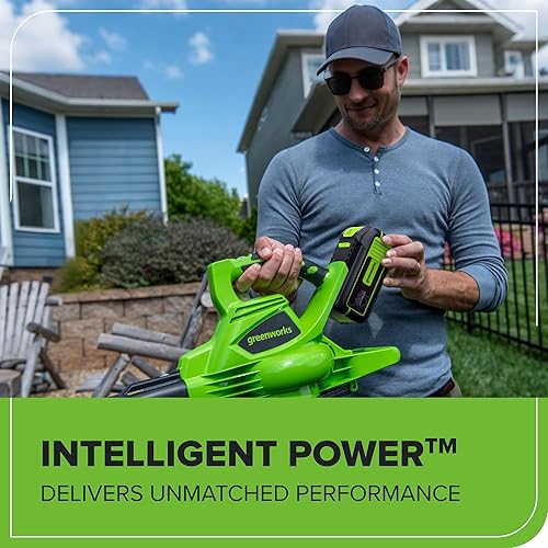 Vista 40 de GreenWorks GREENWORKS 40V 2.0 AH batería de iones de litio 29462