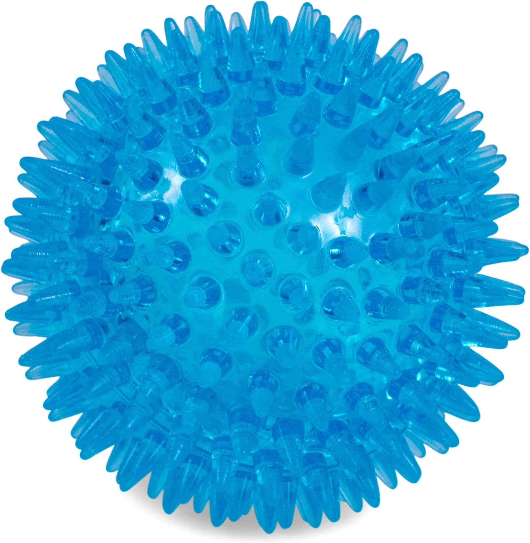PetfaceToyz Space Ball, Large, Blue