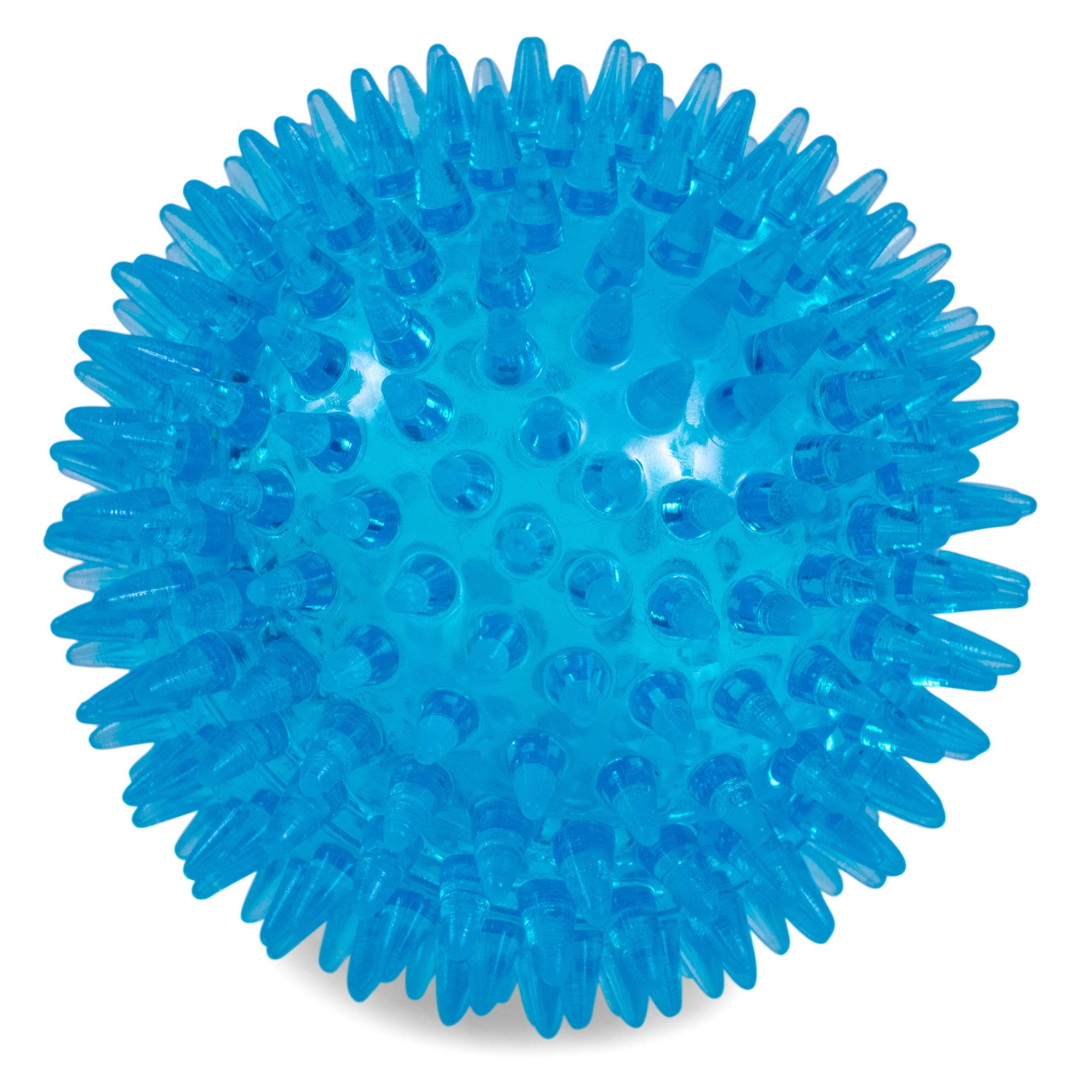 PetfaceToyz Space Ball, Large, Blue