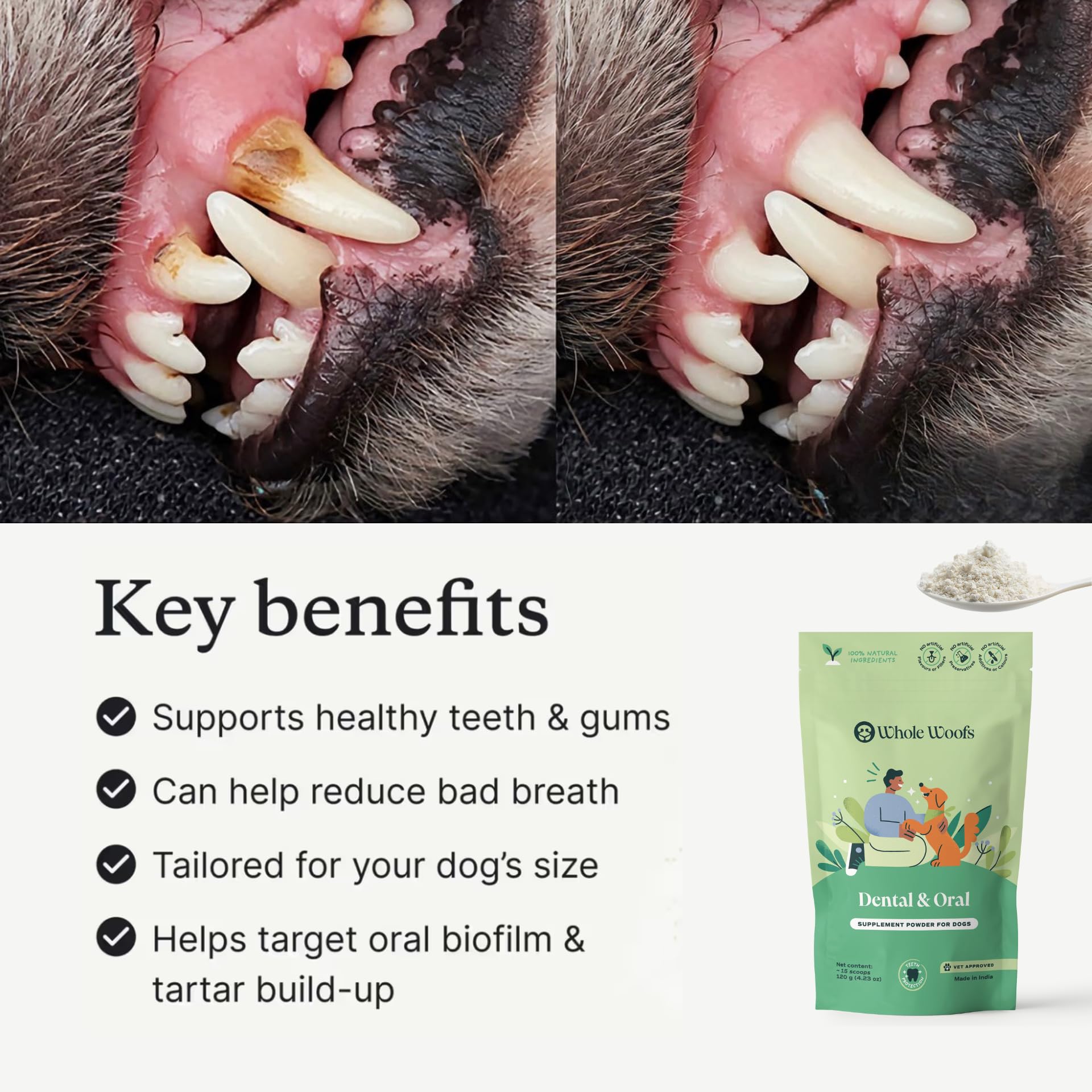 Whole Woofs Dental & Oral Health Supplement Powder for Dogs, 2 Billion CFU Probiotics, Plaque & Tartar Control, Freshens Breath (1-Pack) — Amazon image 2